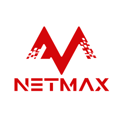 NetMax - Global Network Logo